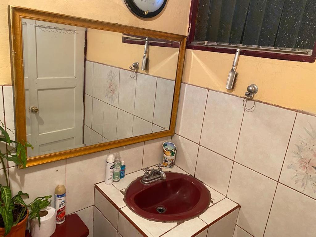 Casa Lupita Alajuela Daire Dış mekan fotoğraf