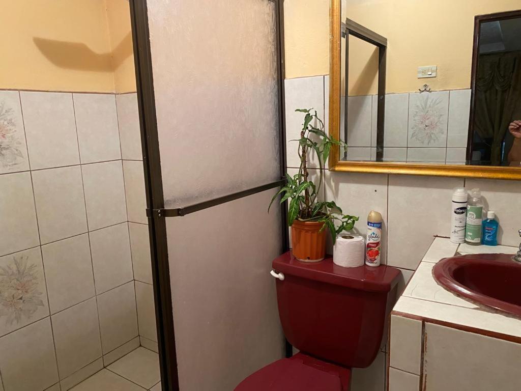 Casa Lupita Alajuela Daire Dış mekan fotoğraf